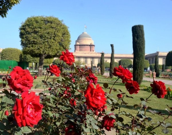 राष्ट्रपति भवन का अमृत उद्यान (फाइल फोटो)