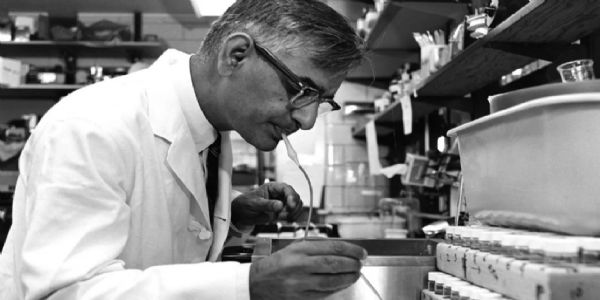 ইতিহাসত ১৬ অক্টোবৰ: ১৯৬৮ চনত হৰগোবিন্দ খুৰানা লাভ কৰে চিকিৎসা বিজ্ঞানৰ নোবেল বঁটা