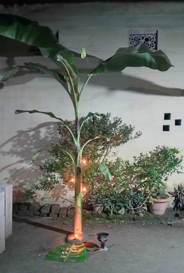 কাতি বিহু