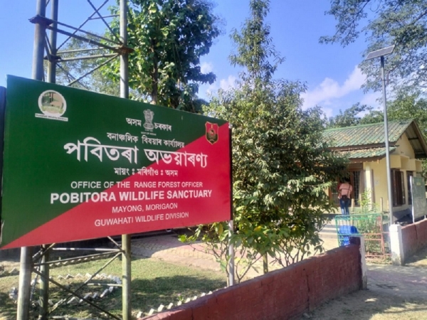 पोबितोरा वन्यजीव अभयारण्य। फाइल फोटो