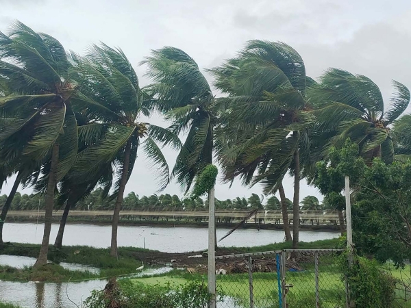 বৰষুণ বৰষুণ