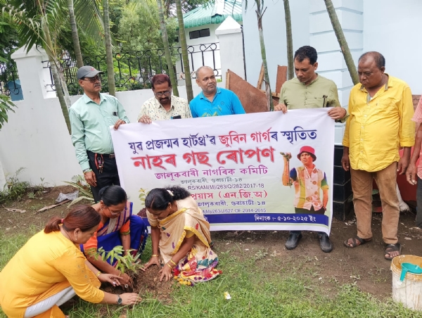 মহান গায়ক জুবিন গাৰ্গৰ স্মৃতিত জালুকবাৰীত নাহৰ পুলি ৰোপণৰ দৃশ্য।