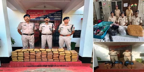 আৰ পি এফৰ দ্বাৰা ১৯.৬৯ লাখ টকাৰো অধিক মূল্যৰ গাঞ্জা জব্দ, ২ গৰাকী মহিলাক সৰবৰাহকাৰী গ্ৰেপ্তাৰ