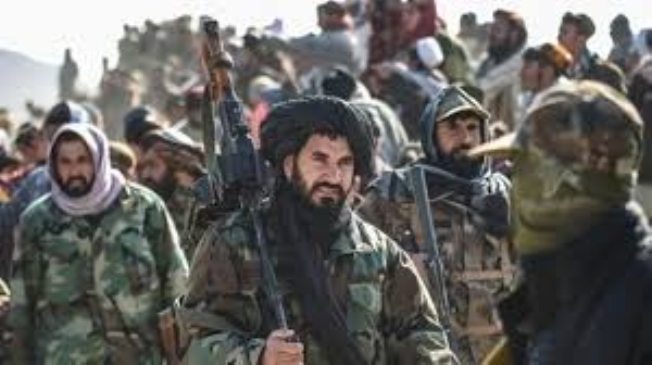 पाकिस्तान में विद्राेही लड़ाके