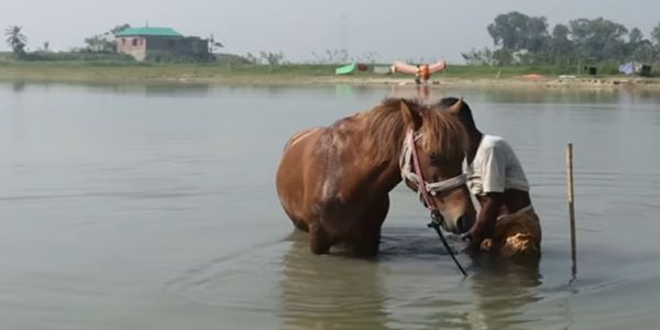 বাংলাদেশত সমাজৰ শত্ৰুৱে হত্যা কৰিলে এজন সহৃদয়ী সমাজকৰ্মী বৃদ্ধৰ ঘোঁৰা