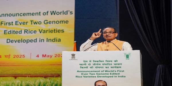 ভাৰতে প্ৰস্তুত কৰিছে বিশ্বৰ প্ৰথম জিন’ম সম্পাদিত ধানৰ জাত, কৃষিমন্ত্ৰী শিৱৰাজৰ উন্মোচন