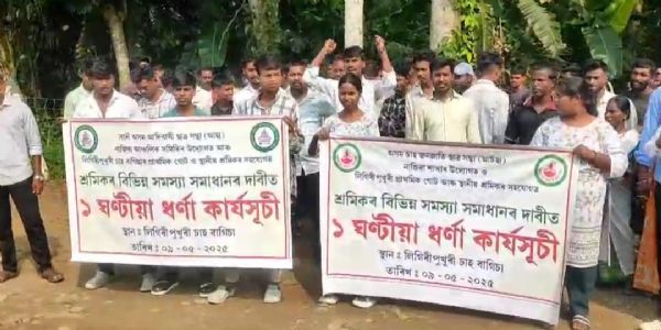 চাহ শ্ৰমিকৰ বিভিন্ন সমস্যা সমাধানৰ দাবীত নাজিৰাৰ লিগিৰীপুখুৰী চাহ বাগিচাত আটছাৰ উত্তাল প্ৰতিবাদ