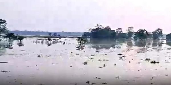 কাজিৰঙাত সংযোজিত ষষ্ঠ অঞ্চলৰ ৪০ শতাংশ অঞ্চল বানত প্লাৱিত