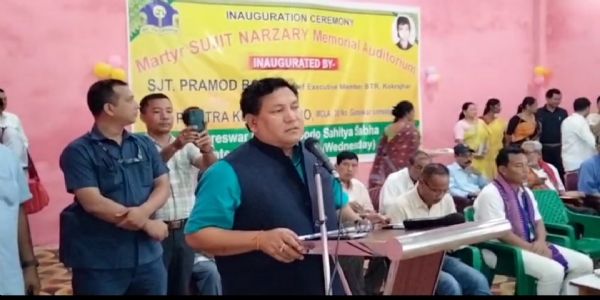 বিটিচি নিৰ্বাচনত ইউ পি পি এল দলে কেইবাটাও পৰিষদীয় সমষ্টিতে নিৰ্বাচন খেলিব