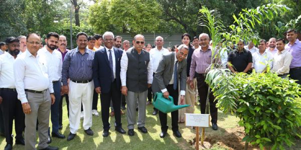 বিশ্ব পৰিৱেশ দিৱসৰ দিনা ৰাষ্ট্ৰীয় সেউজ ন্যায়াধিকৰণ চৌহদত বৃক্ষৰোপণ