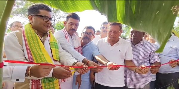 তিতাবৰ মাধপুৰ চাহ বাগিচাৰ পথ নিৰ্মাণৰ কাম শুভাৰম্ভ মন্ত্ৰী পৱিত্ৰ মাৰ্ঘেৰিটাৰ