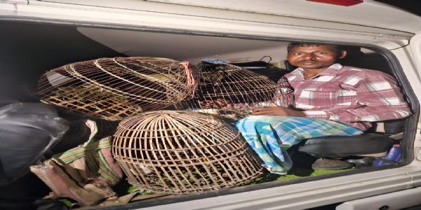 লাহৰীঘাটত বনৰীয়া চৰাইৰ চোৰাং চিকাৰীৰ বিৰুদ্ধে ধাৰাবাহিক অভিযান