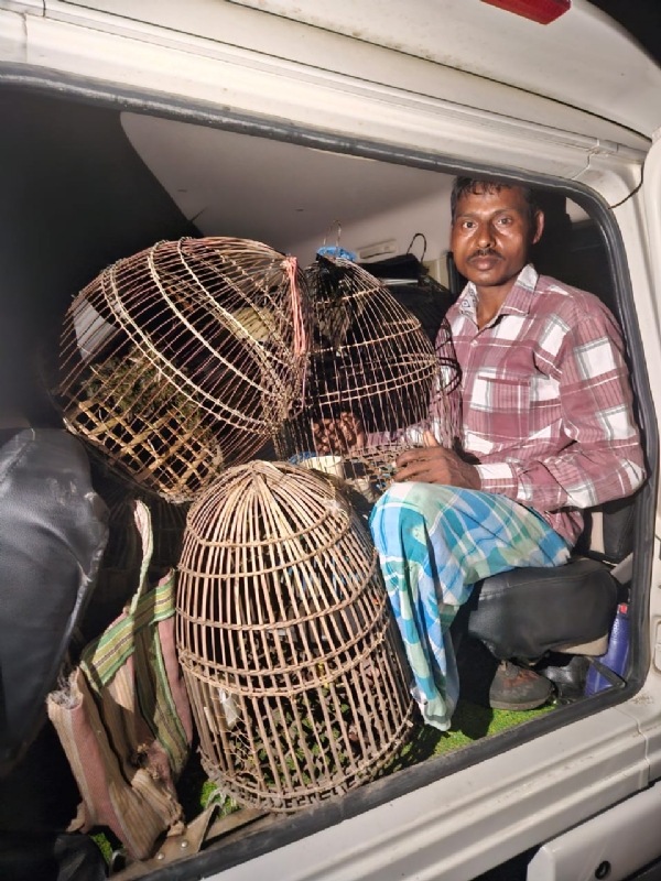 লাহৰীঘাট বনৰীয়া চৰাইৰ চোৰাং চিকাৰীৰ বিৰুদ্ধে ধাৰাবাহিক অভিযান।