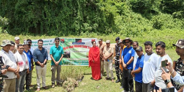 এছ এছ বিৰ ২৪ নং বেটেলিয়নৰ উদ্যোগত মেগা বৃক্ষৰোপন অভিযান