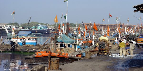 সাগৰীয় মাছৰ উৎপাদনত দেশৰ ভিতৰত দ্বিতীয় স্থানত গুজৰাট