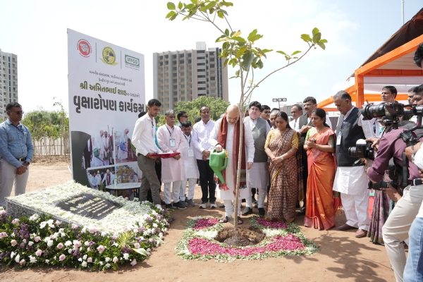 केंद्रीय मंत्री अमित शाह