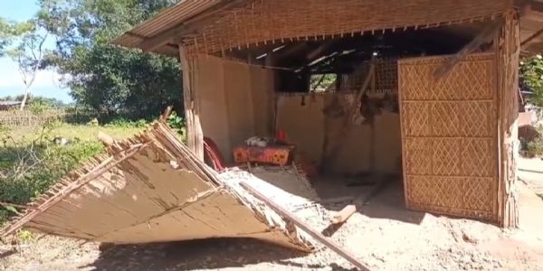 শোণিতপুৰৰ ৰঙাপৰাৰ মোলানগাঁৱত বনৰীয়া হাতীৰ উপদ্ৰৱ