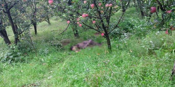 কুলগাম সংঘৰ্ষত নিহত সন্ত্ৰাসবাদী, আহত এজন সেনা বিষয়া