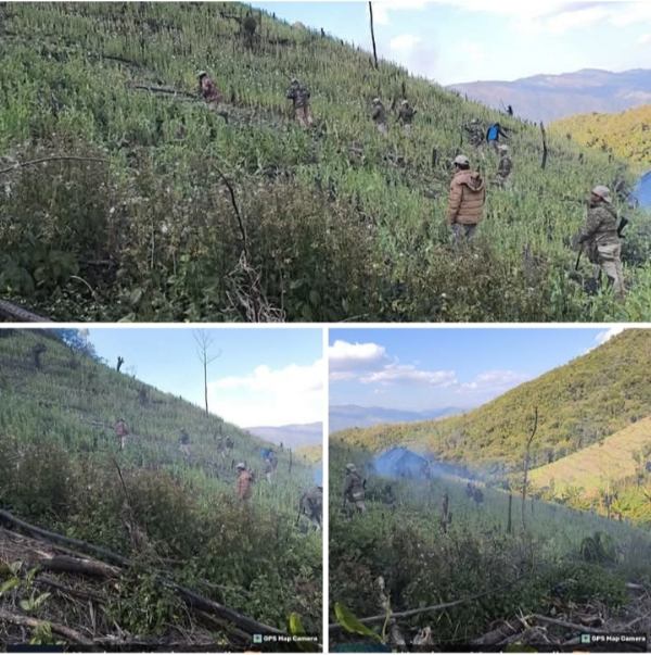 Image of the 15 Acres of Poppy Cultivation Destruction in Manipur.