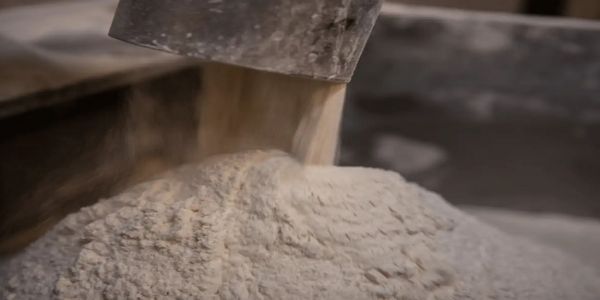 কেন্দ্ৰৰ ৫ লাখ টন ঘেঁহুৰ আটা ৰপ্তানিৰ অনুমতি, অধিসূচনা জাৰি