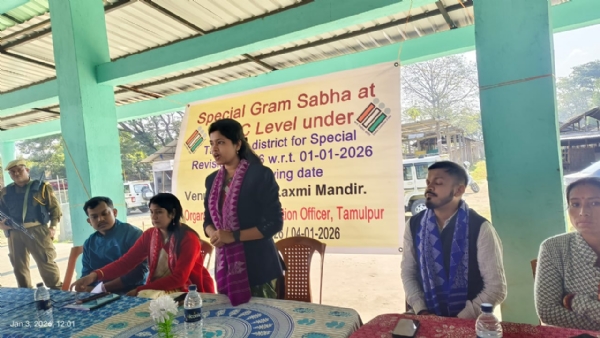 তামুলপুৰৰ বিভিন্ন ভিচিডিচিত বিশেষ গাঁওসভা।