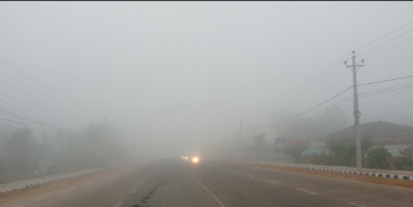 नेपाल के मैदानी इलाके में कोहरा नेपाल के मैदानी इलाके में कोहरा