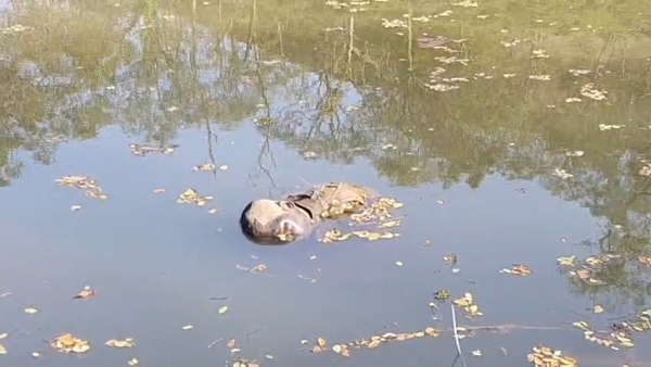 সোণাপুৰৰ আমচং চাহ বাগিচাত উদ্ধাৰ মৃতদেহ। সোণাপুৰৰ আমচং চাহ বাগিচাত উদ্ধাৰ মৃতদেহ।