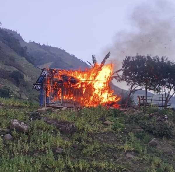 Image Related to the Poppy Cultivation Destroyed Across in Manipur.