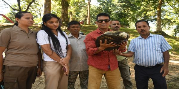 তেজপুৰত বিৰল প্ৰজাতিৰ বাঘ দুৰা কাছ উদ্ধাৰ, চিত্ৰলেখা উদ্যানৰ পুখুৰীত ৪৭ সংখ্যক কাছ মুকলি কৰি সৌৰভ বৰকটকীৰ অভিলেখ