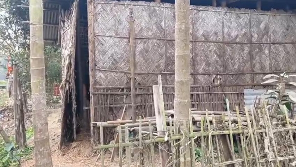 ৰঙিয়া ততাৰকুছিত গৰু চোৰৰ সন্ত্ৰাস