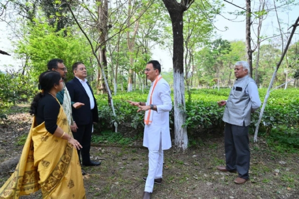 जितिन प्रसाद