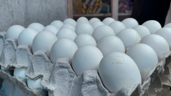 ৰাজ্যৰ অন্যান্য প্ৰান্তৰ সমান্তৰালকৈ ডিমৰীয়াতো বৃদ্ধি কণীৰ মূল্য।