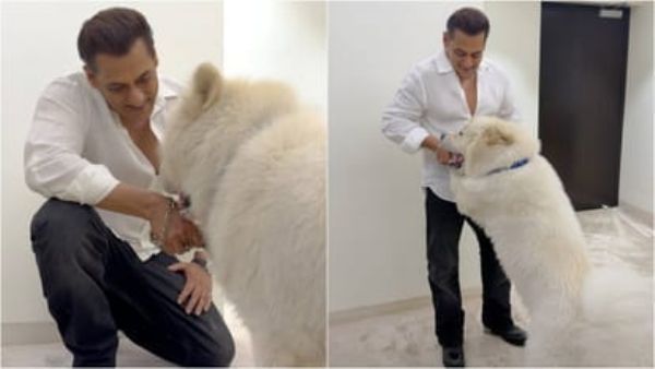 सलमान खान - फोटो सोर्स एक्स