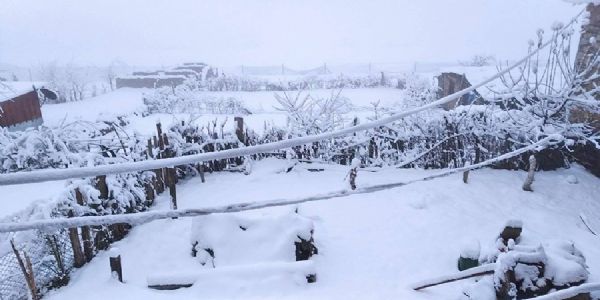 তুষাৰপাত আৰু প্ৰচণ্ড বৰষুণৰ ফলত নেপালৰ স্বাভাৱিক জীৱনত ব্যাঘাত, যাৰ ফলত কৃষকসকলৰ বাবে উদ্বেগ বৃদ্ধি