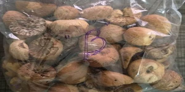 উত্তৰ-পূব অঞ্চলত ডি আৰ আইয়ে জব্দ কৰে ৬০ হাজাৰ কেজি বিদেশী চুপাৰি, ৫জনক গ্ৰেপ্তাৰ
