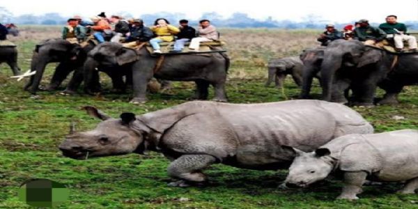 ২৯ মে’ৰ পৰা বন্ধ হ’ব কাজিৰঙা, আজি বন্ধ হ’ল পবিতৰা অভয়াৰণ্য