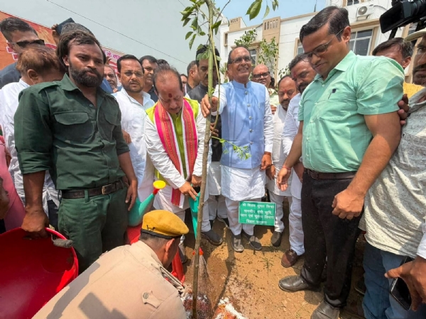 पौधारोपण