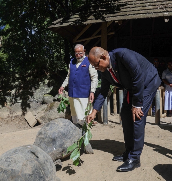राष्ट्रीय वनस्पति उद्यान में एल्डाब्रा विशालकाय कछुओं के बाड़े का भ्रमण करते प्रधानमंत्री नरेन्द्र मोदी। राष्ट्रीय वनस्पति उद्यान में एल्डाब्रा विशालकाय कछुओं के बाड़े का भ्रमण करते प्रधानमंत्री नरेन्द्र मोदी।