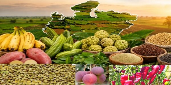 দেশত প্ৰথমবাৰৰ বাবে মধ্যপ্ৰদেশৰ ১২টা উদ্যান শস্যৰ জি আই টেগ লাভ