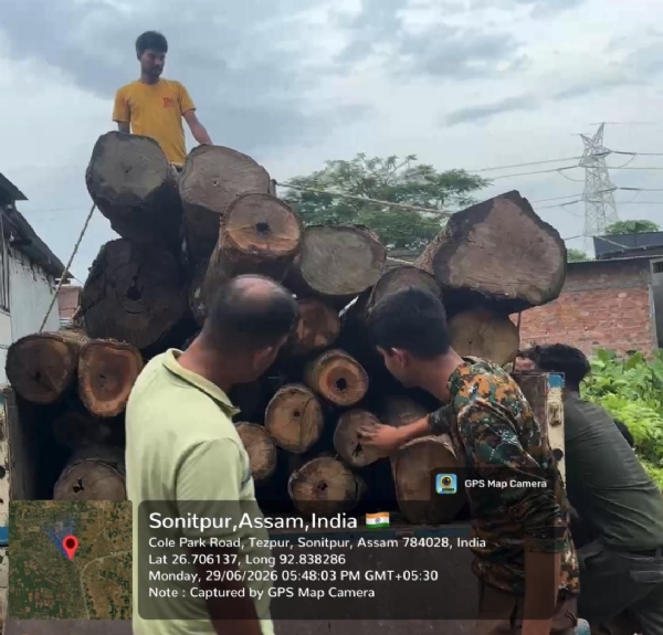 অবৈধ কাঠফলা মিলৰ বিৰুদ্ধে ৰাজ্যজুৰি ‘মিছন মুড’ত বন বিভাগ