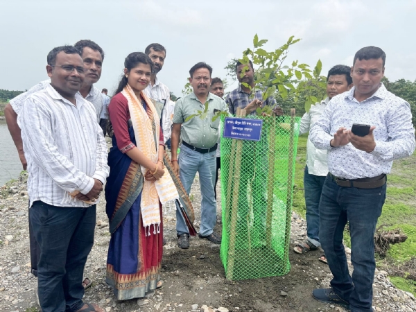 তামুলপুৰত ব্যাপকভাৱে বিশ্ব পৰিৱেশ দিৱস পালন।