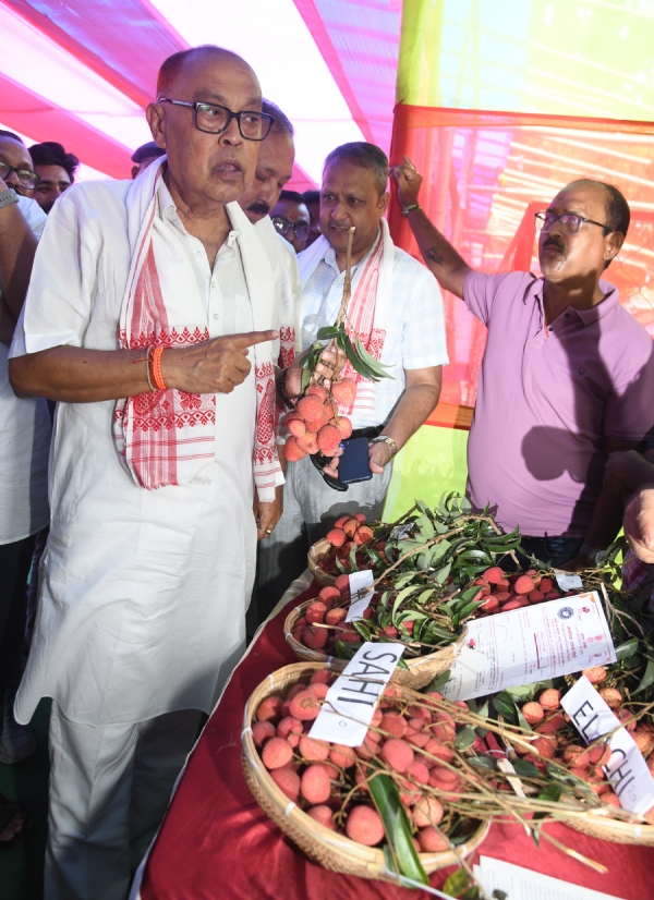 তেজপুৰত উছৱমুখৰ পৰিৱেশত তেজপুৰ লিচু উৎসৱ৭হ -২০২৬  আৰম্ভ