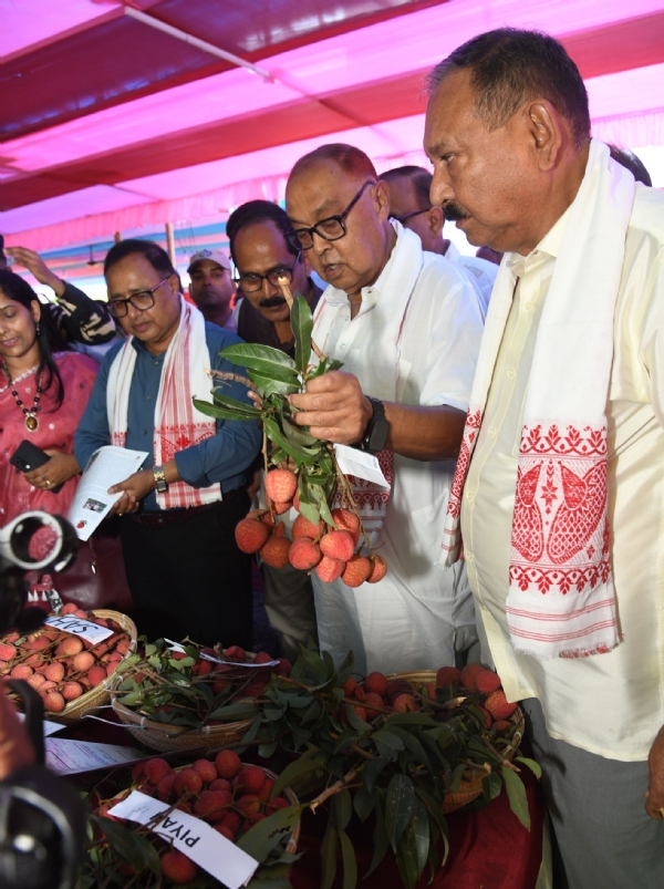 তেজপুৰত উছৱমুখৰ পৰিৱেশত তেজপুৰ লিচু উৎসৱ৭হ -২০২৬  আৰম্ভ