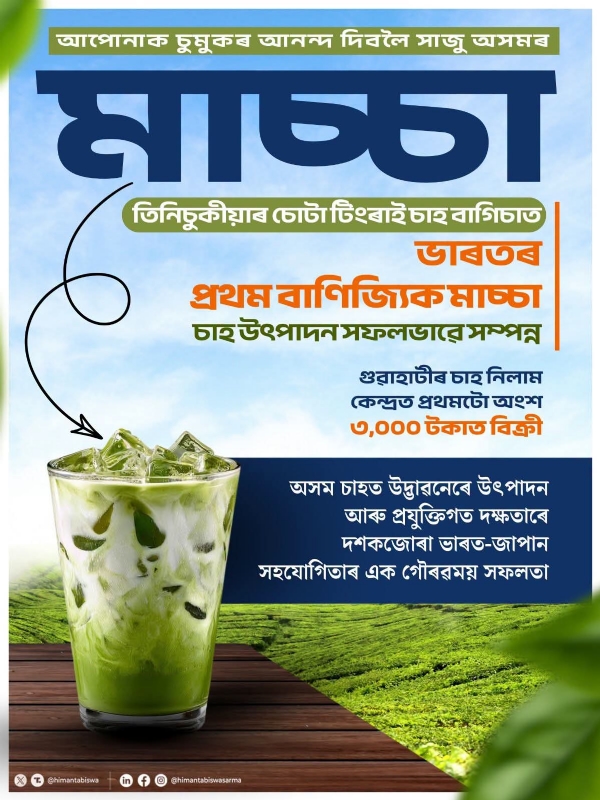 The Illustration shared by Assam CM Dr Himanta Biswa Sarma on X on Friday.