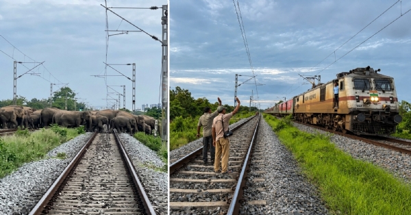 উত্তৰ-পূব সীমান্ত ৰে’লৱে আৰু অসম বন বিভাগৰ সমন্বিত প্ৰচেষ্টাৰ জৰিয়তে ৰে’লপথত হাতীৰ সুৰক্ষা নিশ্চিতকৰণ