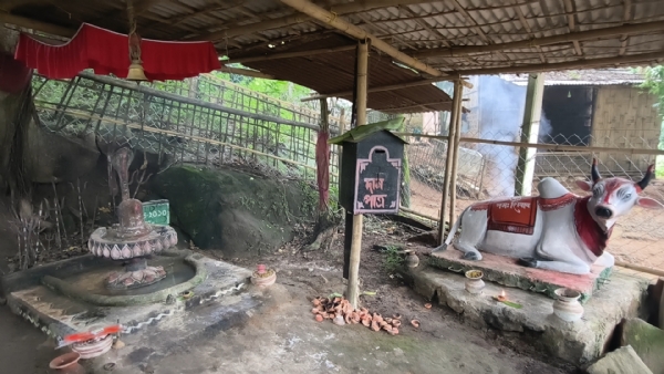ডিমৰীয়াৰ মালয়বাৰীত পালনাম মহোৎসৱ