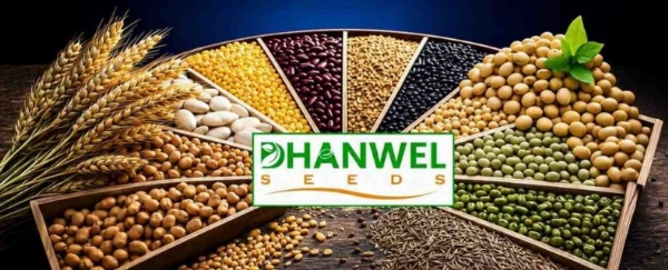 प्रतीकात्मक