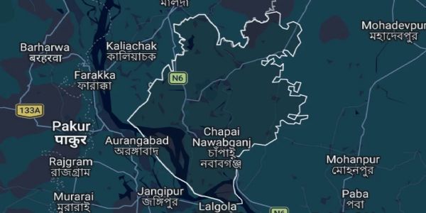 বাংলাদেশৰ পদ্ম নদীত নাও ডুবিল, বি এছ এফৰ ১০ জন লোকক উদ্ধাৰ