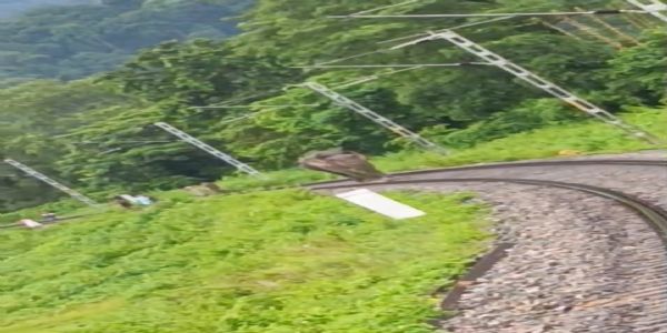 বাগ্ৰাকোট–শিৱক ৰে’লপথত হাতী, সতৰ্কতাৰে ৰে’ল ৰখালে চালকে